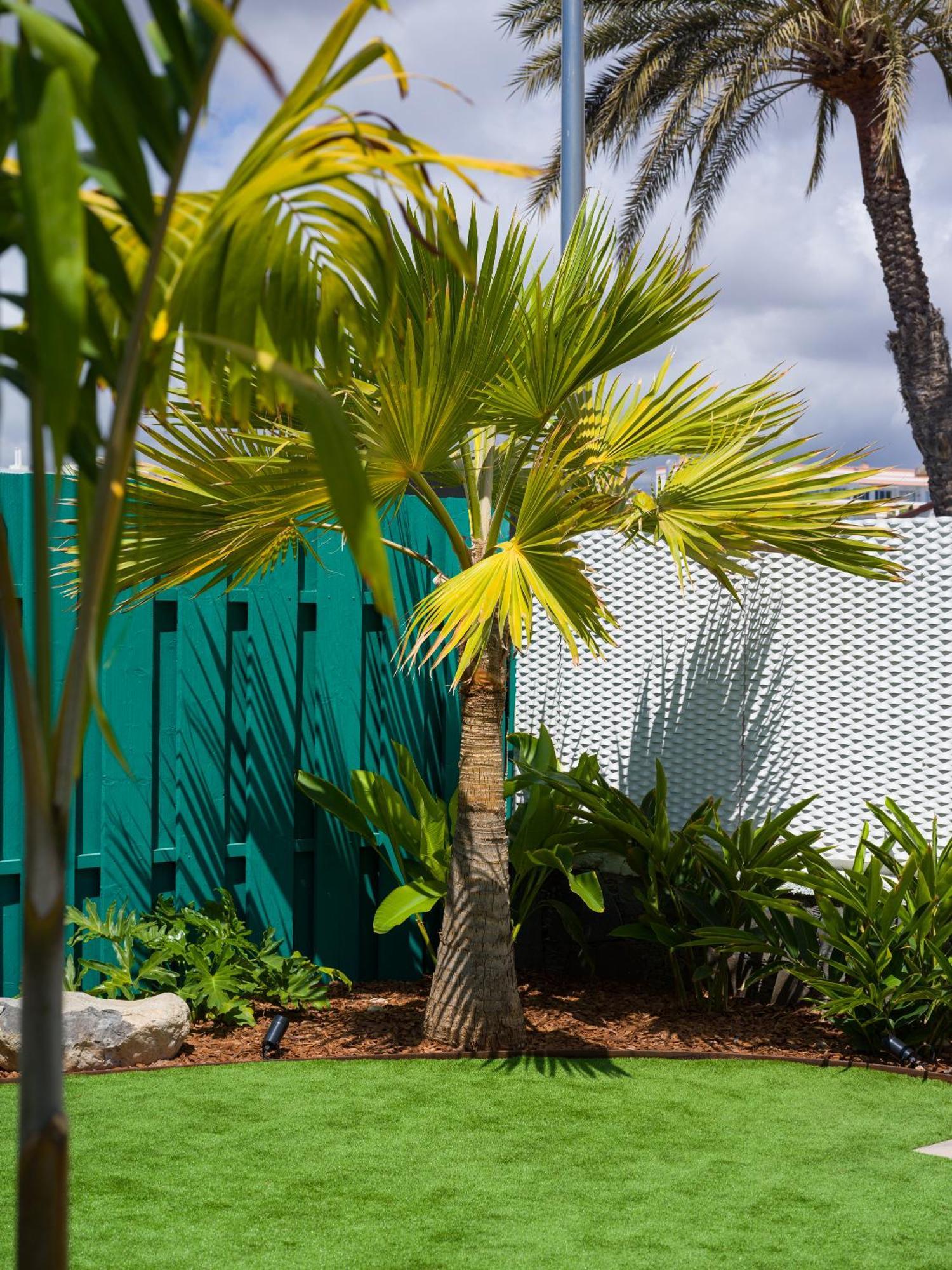 Miami Queens Villa With Private Pool By Tenpropertiesgc San Bartolome de Tirajana  Exterior photo